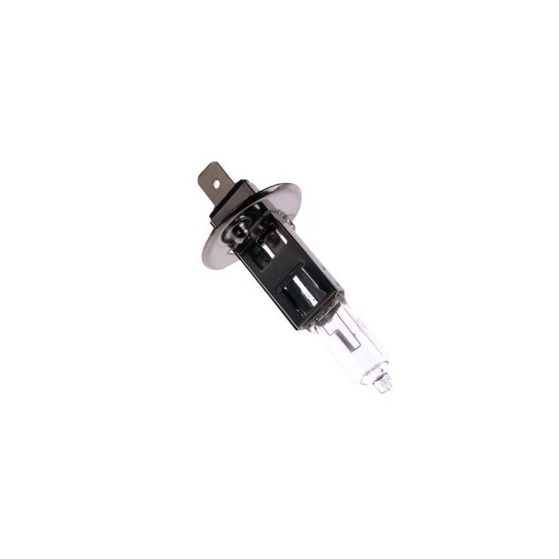 Żarówka H1 12V 55W ( sprzedawane po 10 )