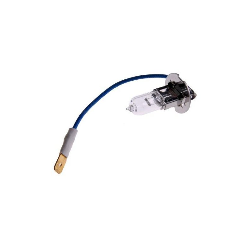Żarówka H3 12V  55W ( sprzedawane po 10 )