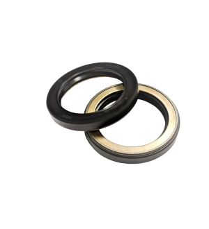 Uszczelniacz NOK AP2666F