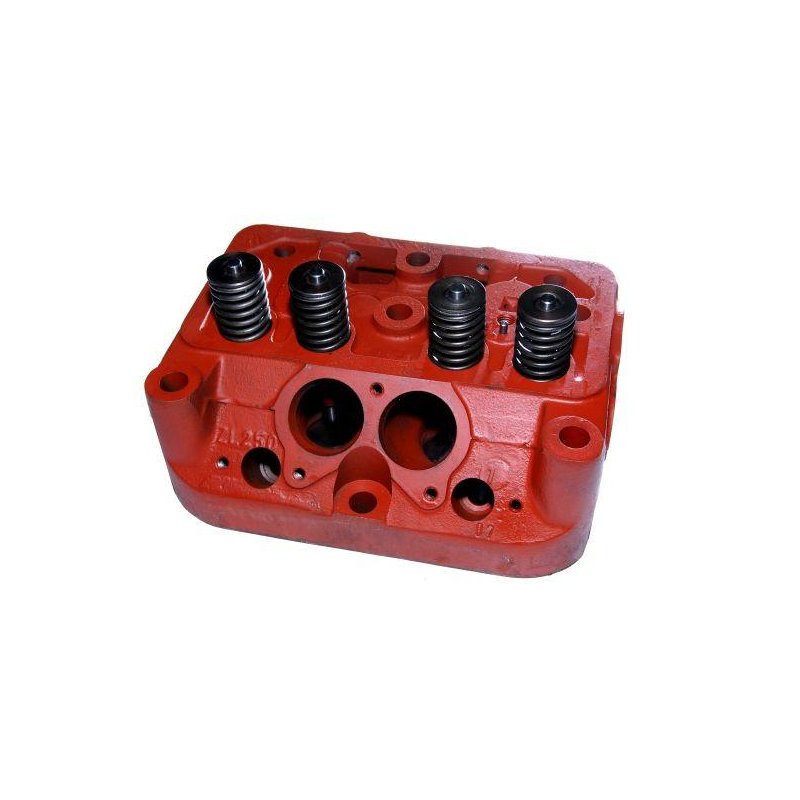 Głowica silnika kpl. z zaworami C-330