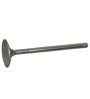 Zawór ssący Bizon Paradowski