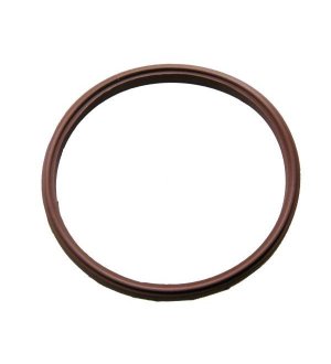 Uszczelka kolektora 120ml Dojarka