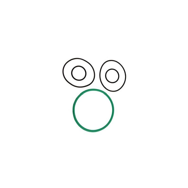 Zestaw uszczelek do filtra ssawnego małego z zaworem odcinającym Opryskiwacz