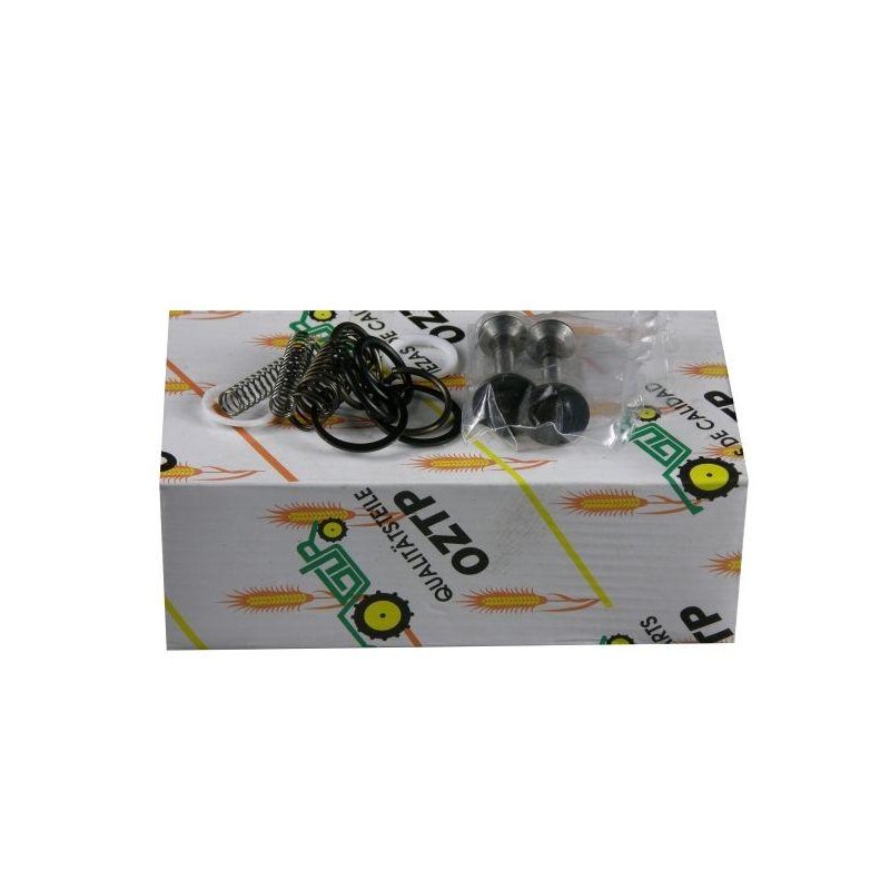 Zestaw naprawczy komory zaworowej pompy hydraulicznej MF3/MF4