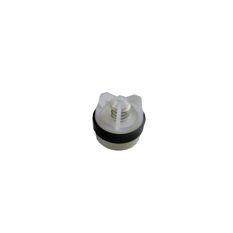 Zaworek do pompy Rau 38/41x47 mm Opryskiwacz