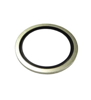 Podkładka metalowo gumowa z prowadzeniem BSP 2"