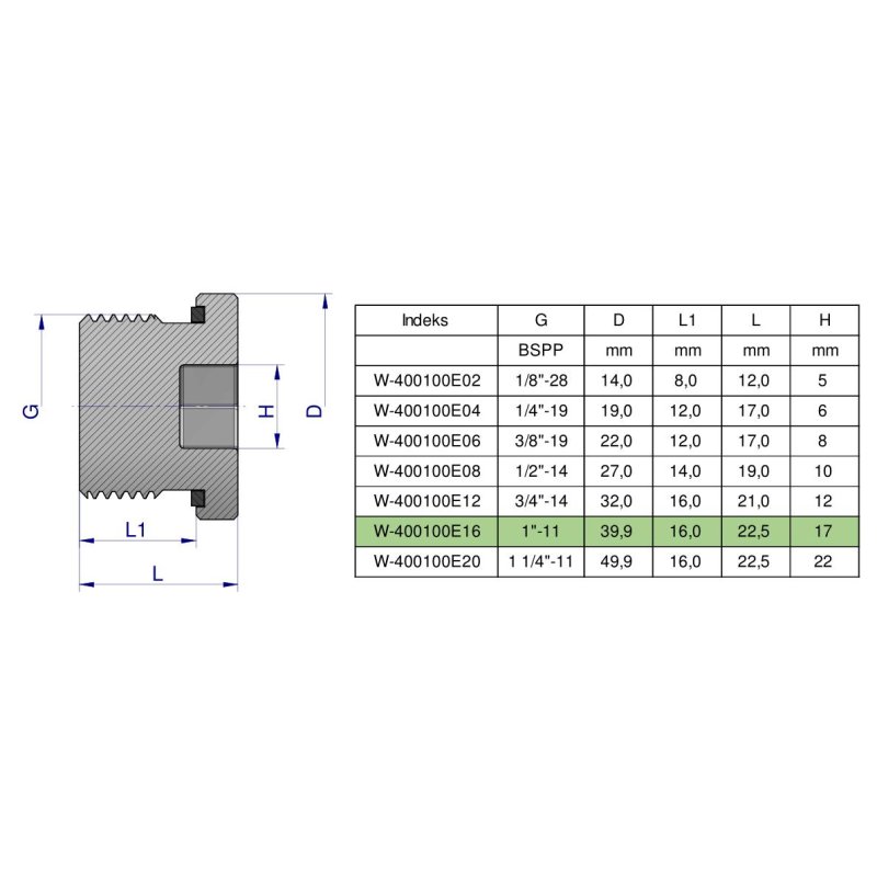 Korek hydrauliczny calowy (na imbus) 1" BSP ED Waryński ( sprzedawane po 2 )