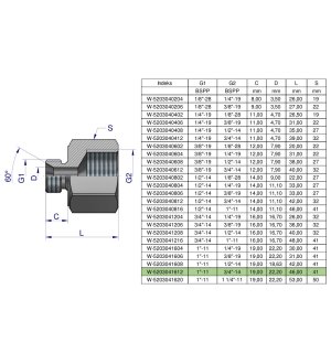 Tulejka różnicowa hydrauliczna calowa AB 1"GZ x 3/4"GW BSP Waryński