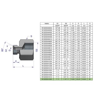 Tulejka różnicowa hydrauliczna calowa AB 1"GZ x 1 1/4"GW BSP Waryński