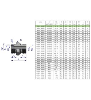 Przyłączka hydrauliczna BB (XGE) M12x1.5 06L x 1/8" BSP ED Waryński ( sprzedawane po 10 )