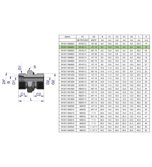 Przyłączka hydrauliczna BB (XGE) M12x1.5 06L x 1/4" BSP ED Waryński ( sprzedawane po 5 )