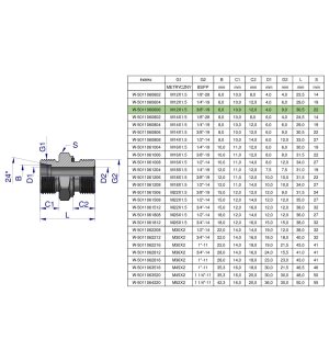 Przyłączka hydrauliczna BB (XGE) M12x1.5 06L x 3/8" BSP ED Waryński ( sprzedawane po 5 )