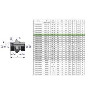 Przyłączka hydrauliczna BB (XGE) M14x1.5 08L x 3/8" BSP ED Waryński ( sprzedawane po 5 )