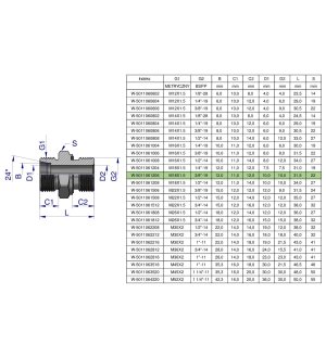 Przyłączka hydrauliczna BB (XGE) M18x1.5 12L x 3/8" BSP ED Waryński ( sprzedawane po 10 )
