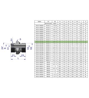 Przyłączka hydrauliczna BB (XGE) M16x1.5 10L x 3/8" BSP ED Waryński ( sprzedawane po 10 )