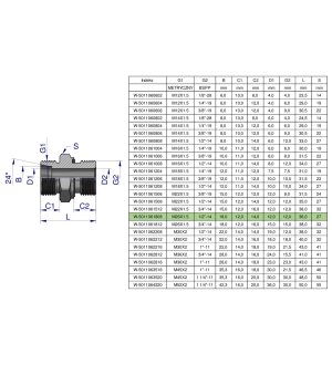 Przyłączka hydrauliczna BB (XGE) M26x1.5 18L x 1/2" BSP ED Waryński ( sprzedawane po 2 )