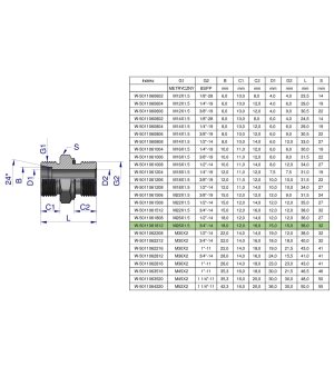 Przyłączka hydrauliczna BB (XGE) M26x1.5 18L x 3/4" BSP ED Waryński ( sprzedawane po 2 )
