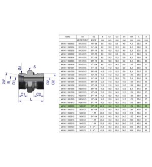 Przyłączka hydrauliczna BB (XGE) M30x2 22L x 1/2" BSP ED Waryński ( sprzedawane po 2 )