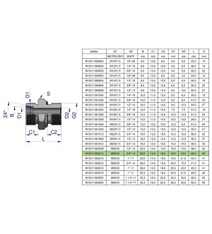 Przyłączka hydrauliczna BB (XGE) M30x2 22L x 3/4" BSP ED Waryński ( sprzedawane po 2 )
