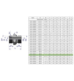 Przyłączka hydrauliczna BB (XGE) M30x2 22L x 1" BSP ED Waryński ( sprzedawane po 2 )