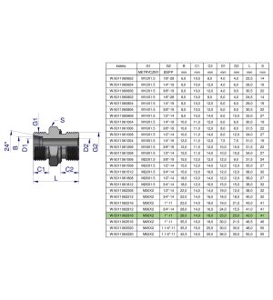 Przyłączka hydrauliczna BB (XGE) M36x2 28L2 28L x 1" BSP ED Waryński ( sprzedawane po 2 )