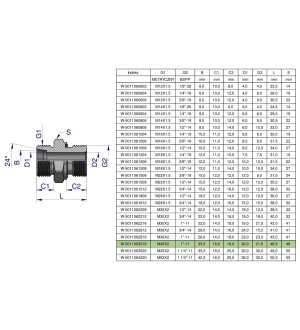 Przyłączka hydrauliczna BB (XGE) M45x2 35L3 35L x 1" BSP ED Waryński