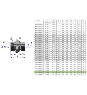 Przyłączka hydrauliczna BB (XGE) M45x2 35L x 1 1/4" BSP ED Waryński