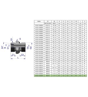 Przyłączka hydrauliczna BB (XGE) M52x2 42L x 1 1/4" BSP ED Waryński