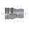 Szybkozłącze hydrauliczne skręcane wtyczka G3/4"BSP gwint wewnętrzny 250bar Waryński
