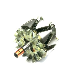 Wirnik alternatora 100211-6420EX Nowy Typ EXPOM KWIDZYN eu