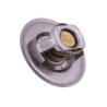 Termostat 83913835 Ford POLMO