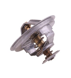 Termostat 130100060706 Case POLMO