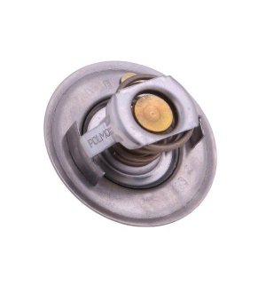 Termostat 6005012123 RENAULT POLMO