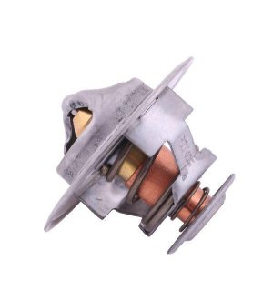 Termostat 98463637 Case POLMO