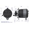 Alternator MTZ 72A Z PRZEWODEM EXPOM KWIDZYN eu