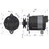Alternator MTZ 100A EXPOM KWIDZYN eu
