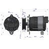 Alternator MTZ 100A podwójne koło pasowe KWIDZYN eu