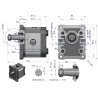 Pompa hydrauliczna zębata 6.0cm3 (grupa 2 - typ europejski) wałek 1:8 przyłącza gwintowane (obroty prawe) max.260 bar Waryński