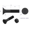 Śruba kpl. płużna podsadzana D 608 M12x60 mm kl.12.9 Waryński ( sprzedawane po 25 )