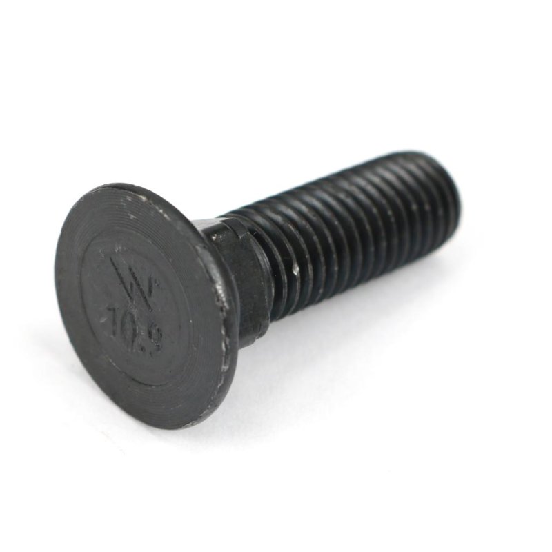 Śruba płużna podsadzana D 608 M10x30 mm kl.10.9 Waryński ( sprzedawane po 10kg )