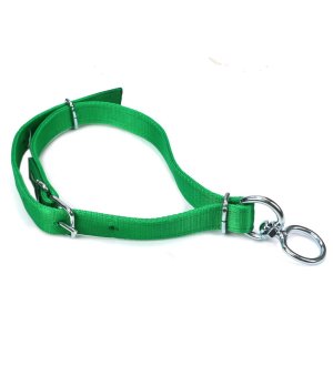 Obroża wąska, 60 cm x 3 cm z okrętką , Royal Farm