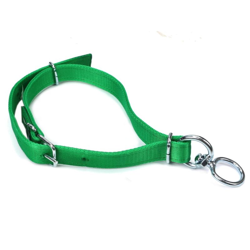 Obroża wąska, 80 cm x 3 cm z okrętką , Royal Farm