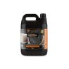 Preparat do czyszczenia filtrów cząstek stałych DPF/FAP  - PROFESSIONAL, 5l, Teger