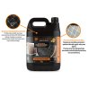 Preparat do czyszczenia filtrów cząstek stałych DPF/FAP  - PROFESSIONAL, 5l, Teger