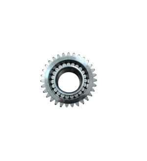 KOŁO PLANETARNE ZĘBATKA Z ŁOŻYSKIEM  4474351083 IPG