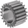 Koło zębate przekładni planetarnej Z20 2W-8147, 4750.005.505