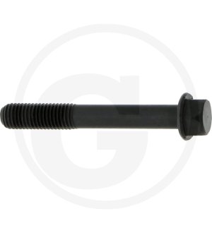 Śruba głowicy cylindra 5863002930