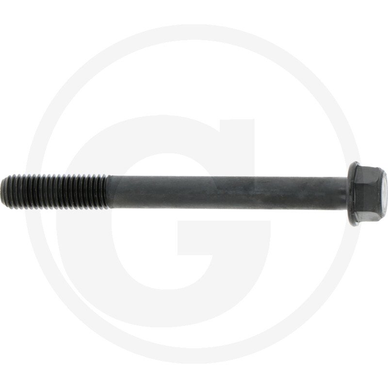 Śruba głowicy cylindra 5863002920