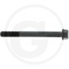 Śruba głowicy cylindra 5863002920
