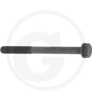 Śruba głowicy cylindra 8971334161